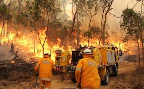 Bushfire mitigation, prevention and management – update