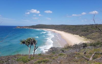 ALEXANDRIA BAY, NOOSA NATIONAL PARK APRIL 2023