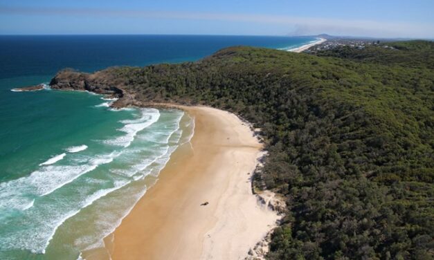 CLOTHING OPTIONAL BEACHES QLD, ALEXANDRIA BAY, NOOSA NATIONAL PARK – NOOSA MP ISSUE SPECIFIC SURVEY RESULTS JUNE 2023