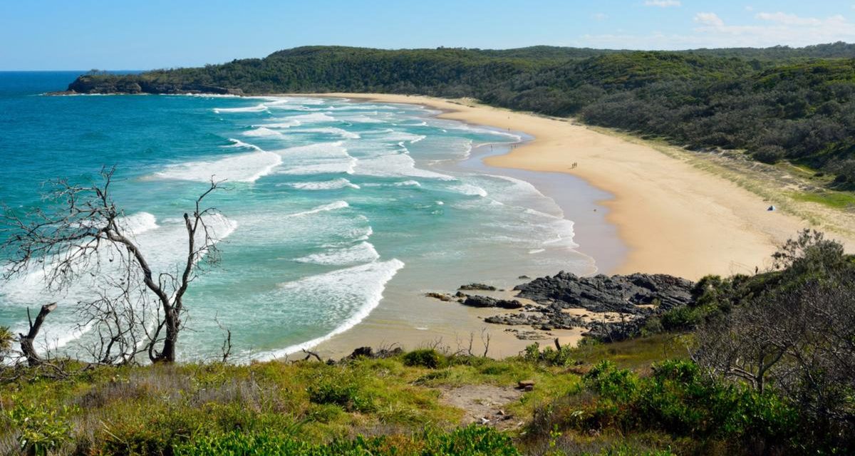 CLOTHING OPTIONAL BEACHES QLD, ALEXANDRIA BAY, NOOSA NATIONAL PARK UPDATE AUGUST 2023