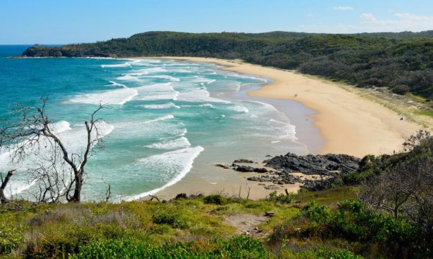 CLOTHING OPTIONAL BEACHES QLD, ALEXANDRIA BAY, NOOSA NATIONAL PARK UPDATE AUGUST 2023