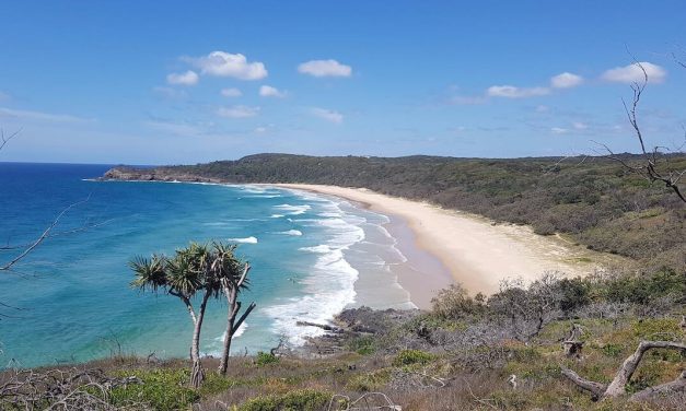 CLOTHING OPTIONAL BEACHES QLD, ALEXANDRIA BAY, NOOSA NATIONAL PARK UPDATE JANUARY 2024