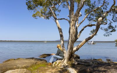 NOOSA RIVER MANAGEMENT UPDATE JANUARY 2024