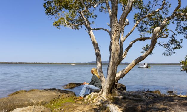 NOOSA RIVER MANAGEMENT UPDATE JANUARY 2024