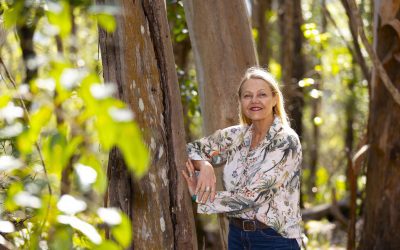 NOOSA MP FUNDED STUDY TO PROTECT OUR WILDLIFE UPDATE JANUARY 2024