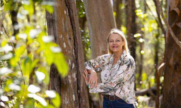 NOOSA MP FUNDED STUDY TO PROTECT OUR WILDLIFE UPDATE JANUARY 2024