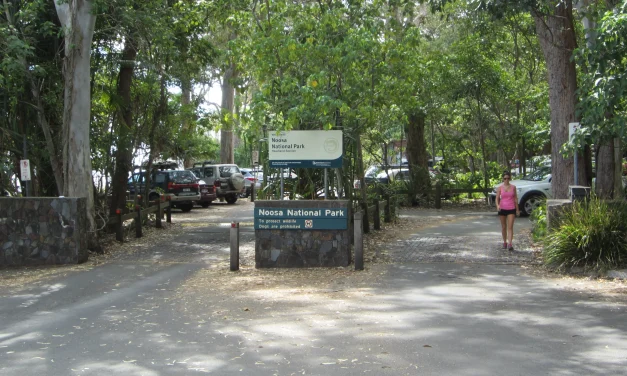 NOOSA NATIONAL PARK CAR PARK UPDATE FEBRUARY 2024