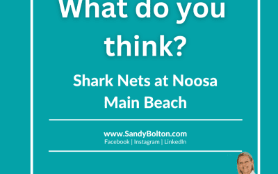 NOOSA MP ISSUE SPECIFIC SURVEY – SHARK NETS NOOSA MAIN BEACH MARCH 2024