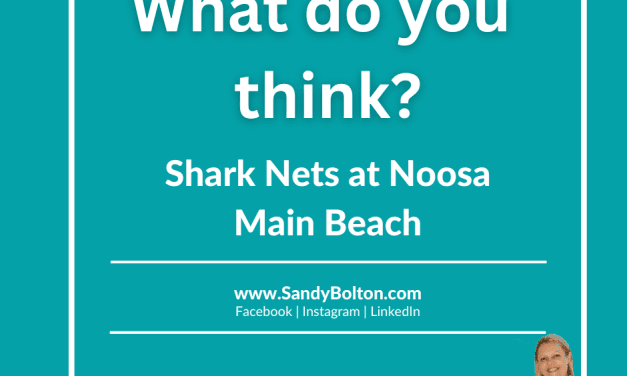 NOOSA MP ISSUE SPECIFIC SURVEY – SHARK NETS NOOSA MAIN BEACH MARCH 2024