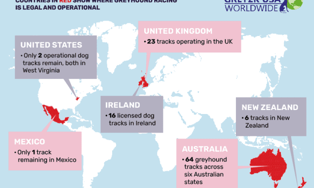 GREYHOUND RACING IN QUEENSLAND MARCH 2024