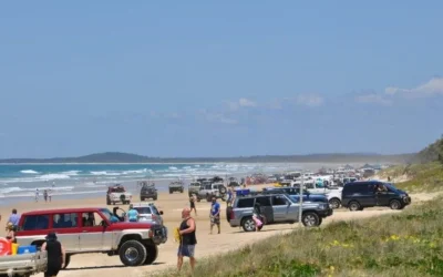 TEEWAH BEACH DRIVER BEHAVIOUR/ COOLOOLA RECREATION AREA MANAGEMENT/ TURTLE HATCHLINGS UPDATE MARCH 2024