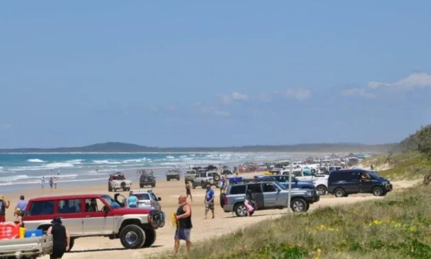 TEEWAH BEACH DRIVER BEHAVIOUR/ COOLOOLA RECREATION AREA MANAGEMENT/ TURTLE HATCHLINGS UPDATE MARCH 2024