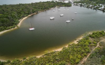 NOOSA RIVER MANAGEMENT UPDATE MAY 2025